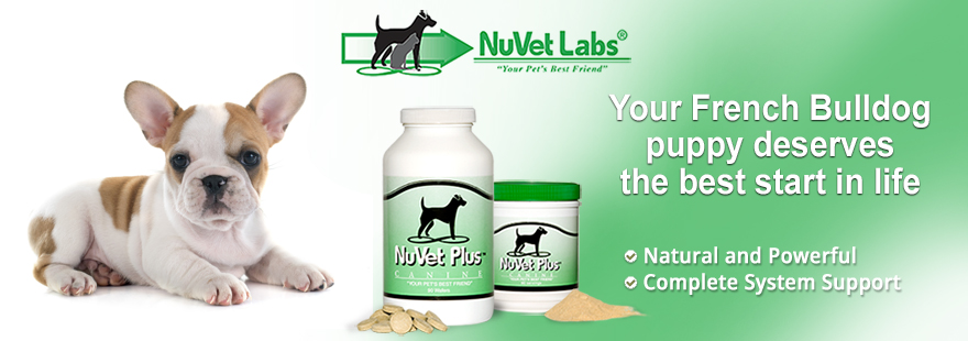 nuvet labs dogs cats vitamins supplements header